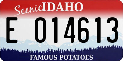 ID license plate E014613