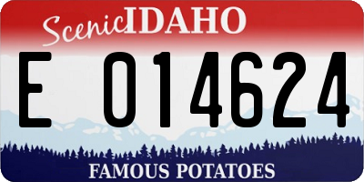 ID license plate E014624