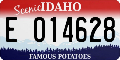 ID license plate E014628