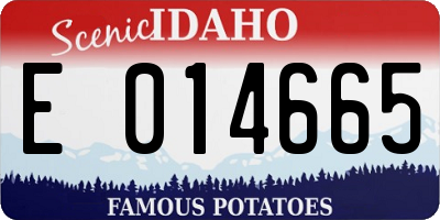 ID license plate E014665