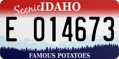 ID license plate E014673