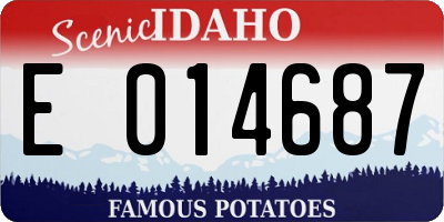 ID license plate E014687