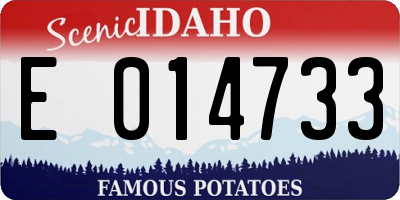 ID license plate E014733