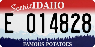 ID license plate E014828