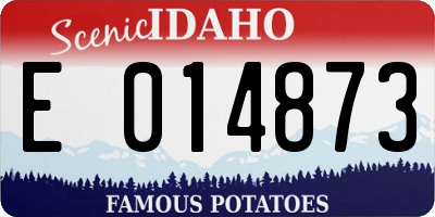 ID license plate E014873