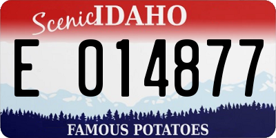 ID license plate E014877