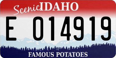 ID license plate E014919