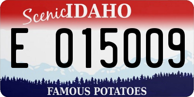 ID license plate E015009