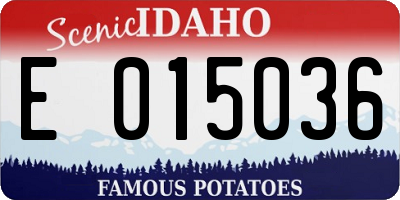 ID license plate E015036