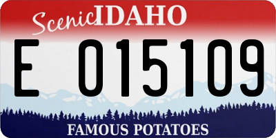 ID license plate E015109