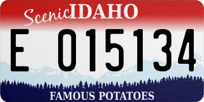 ID license plate E015134