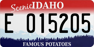 ID license plate E015205