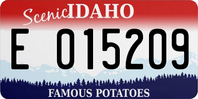 ID license plate E015209