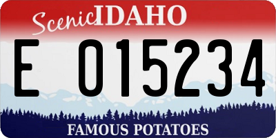 ID license plate E015234