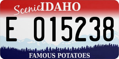 ID license plate E015238