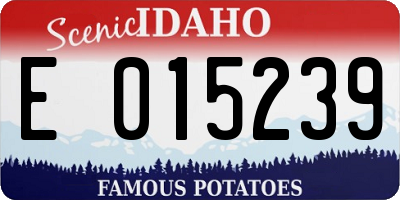 ID license plate E015239