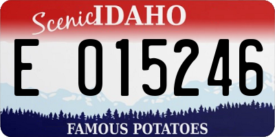 ID license plate E015246