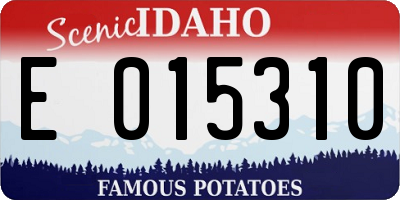 ID license plate E015310