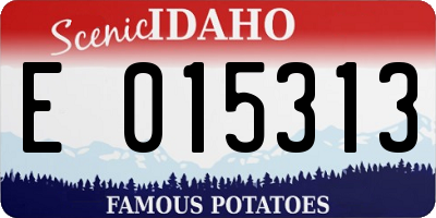 ID license plate E015313