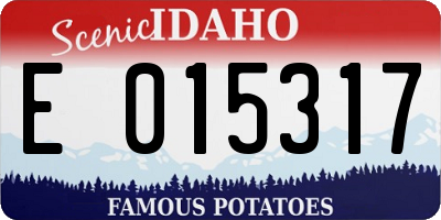 ID license plate E015317