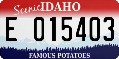 ID license plate E015403