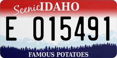 ID license plate E015491