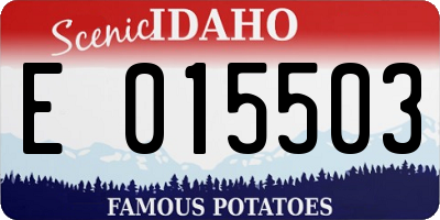 ID license plate E015503