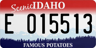 ID license plate E015513