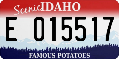 ID license plate E015517