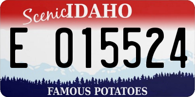 ID license plate E015524