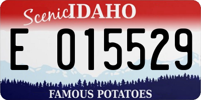 ID license plate E015529