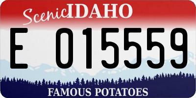 ID license plate E015559