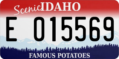 ID license plate E015569