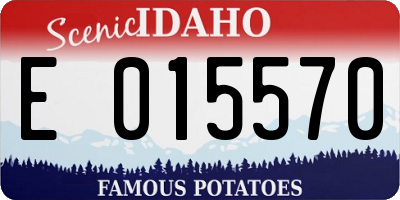 ID license plate E015570