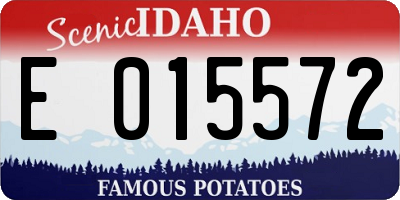 ID license plate E015572