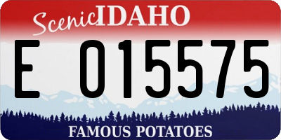 ID license plate E015575