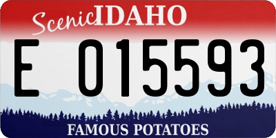 ID license plate E015593
