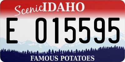 ID license plate E015595