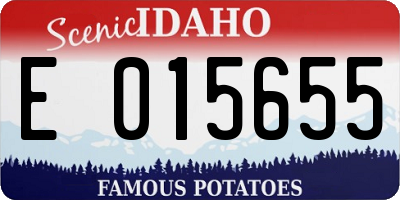 ID license plate E015655