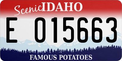 ID license plate E015663