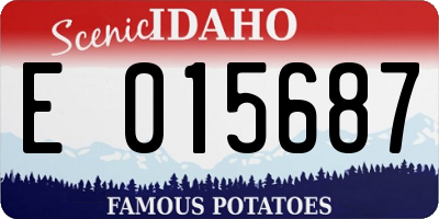 ID license plate E015687