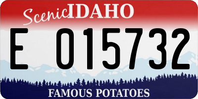 ID license plate E015732