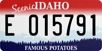 ID license plate E015791
