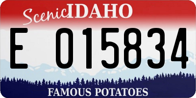 ID license plate E015834
