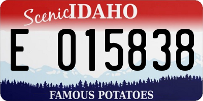 ID license plate E015838