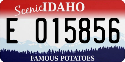 ID license plate E015856