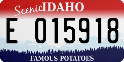 ID license plate E015918