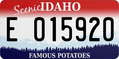 ID license plate E015920