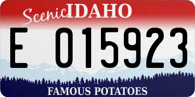 ID license plate E015923