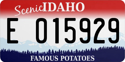 ID license plate E015929